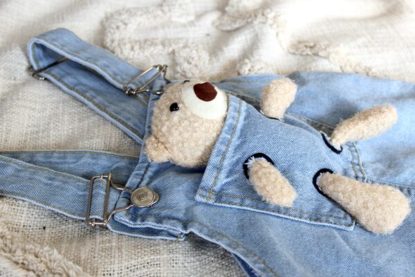 IMG_1912 Robe ours en jean